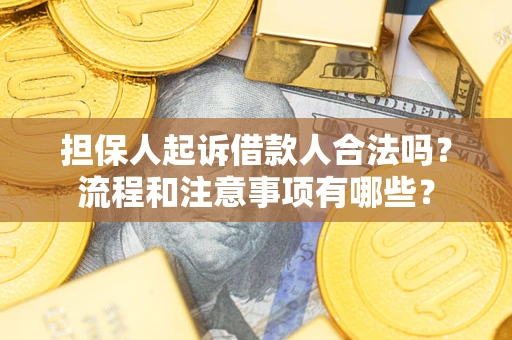 北京担保人起诉借款人合法吗？流程和注意事项有哪些？