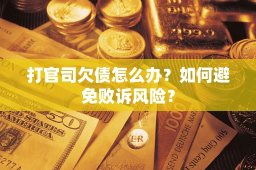 北京打官司欠债怎么办？如何避免败诉风险？