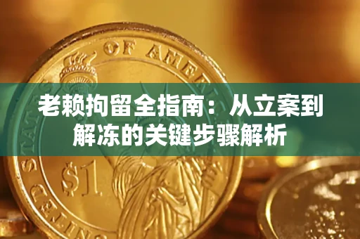 北京老赖拘留全指南：从立案到解冻的关键步骤解析