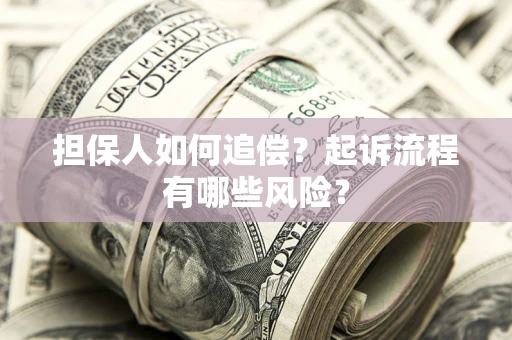 北京担保人如何追偿？起诉流程有哪些风险？