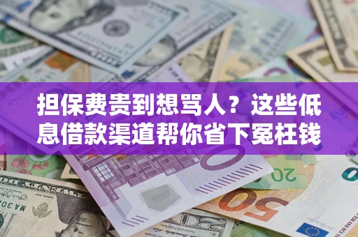 北京担保费贵到想骂人？这些低息借款渠道帮你省下冤枉钱