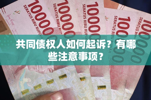 北京共同债权人如何起诉？有哪些注意事项？
